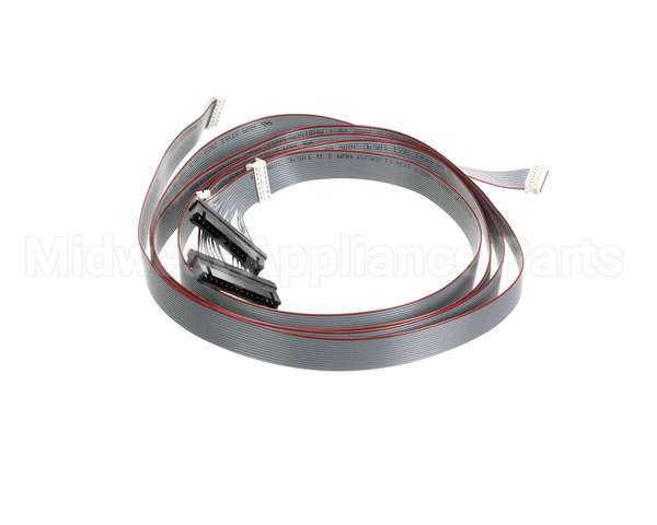 620048380 Cornelius Harness Keypad/E-Board Membrn Ada