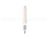 620200413 Cornelius Cylinder Ice Gate Abs Norgren