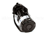 620204632 Cornelius Pump Water 1550 Rpm 115V