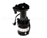 620204633 Cornelius Pump Water 1550 Rpm 220V