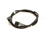 620313657 Cornelius Jumper 4Fl Switch To Board Flb