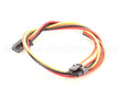620323663 Cornelius Harness Main E-Box To Interface