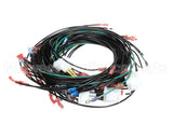 62099 Henny Penny Harn-230V Ce 390/690