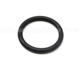 100290345 Lochinvar & A.o. Smith Hand Hole Gasket