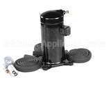 629096901 Cornelius Kit Comp Viper 3/4Fl 60Hz