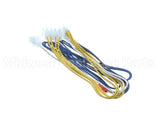63823 Henny Penny Harn-Control Module Probe