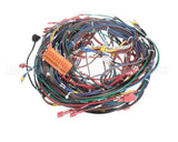 63974 Middleby Harn,Ps528G 208/1/3W