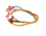 65869 Henny Penny Harness-Switch 8Head Gas