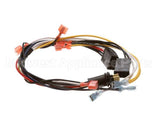 65945 Perlick Wire Harness Main Control Box