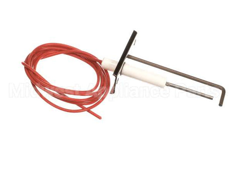 6692-1 Crown Steam Electrode Assembly