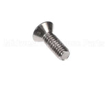 67175 Middleby Scr Ms Phi 1/4-20X3/4 Ss