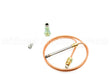 100327037 Lochinvar & A.o. Smith 20" Thermocouple