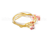 68104 Henny Penny Harness-High Limit/Dr Switch-Comp