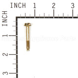 690670 Briggs & Stratton Screw