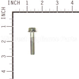 690711 Briggs & Stratton Screw