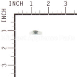 691029 Briggs & Stratton Nut