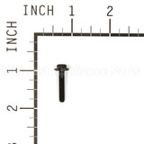 691061 Briggs & Stratton Screw