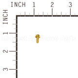 691619 Briggs & Stratton Screw