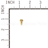 691660 Briggs & Stratton Screw