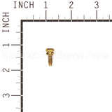 691666 Briggs & Stratton Screw