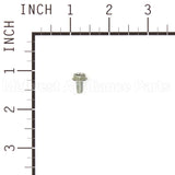 691693 Briggs & Stratton Screw