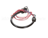 69230 Henny Penny Assembly-Molded Cord Lamp Plug So