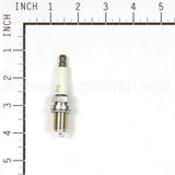 6953 NGK Bkr5E-11 Spark Plug