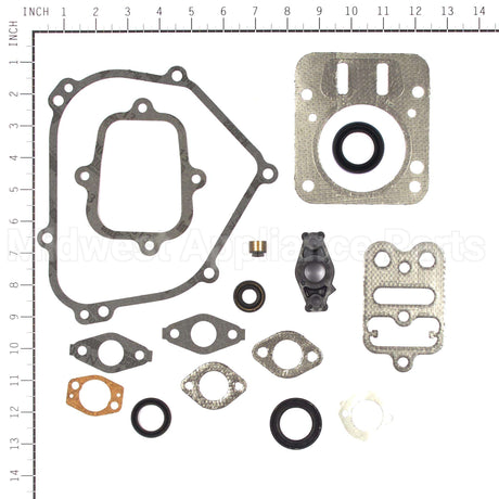 698216 Briggs & Stratton Gasket Set-Engine
