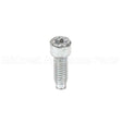 698941 Briggs & Stratton Screw