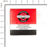 698973 Briggs & Stratton Cleaner-Air