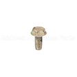 699234 Briggs & Stratton Screw