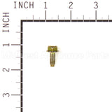 699481 Briggs & Stratton Screw
