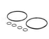 7000413 Antunes O-Ring Replacement Kit