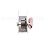 7001529 Antunes Drive Chain Tensioner