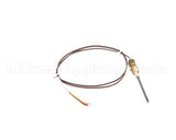 7001812 Antunes Thermocouple W/