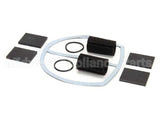 700521 Darling International Pump Service Kit W/ Vanes For