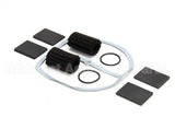 700521 Darling International Pump Service Kit W/ Vanes For