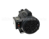 700528 Darling International Pump Motor Assembly Baker #S2