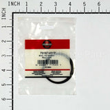 7010740YP Briggs & Stratton Ring Retaining