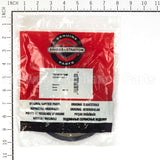7018782SM Briggs & Stratton Driven Disc