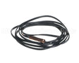 70289342 International Environmental Tstat Sensor Probe