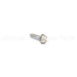 703062 Briggs & Stratton Screw 10-14