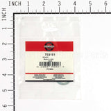 703151 Briggs & Stratton Wshr