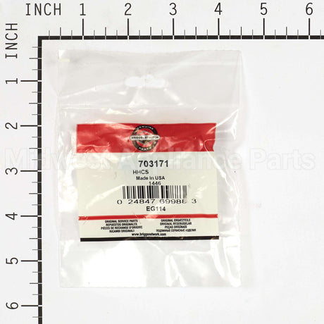 703171 Briggs & Stratton Hhcs