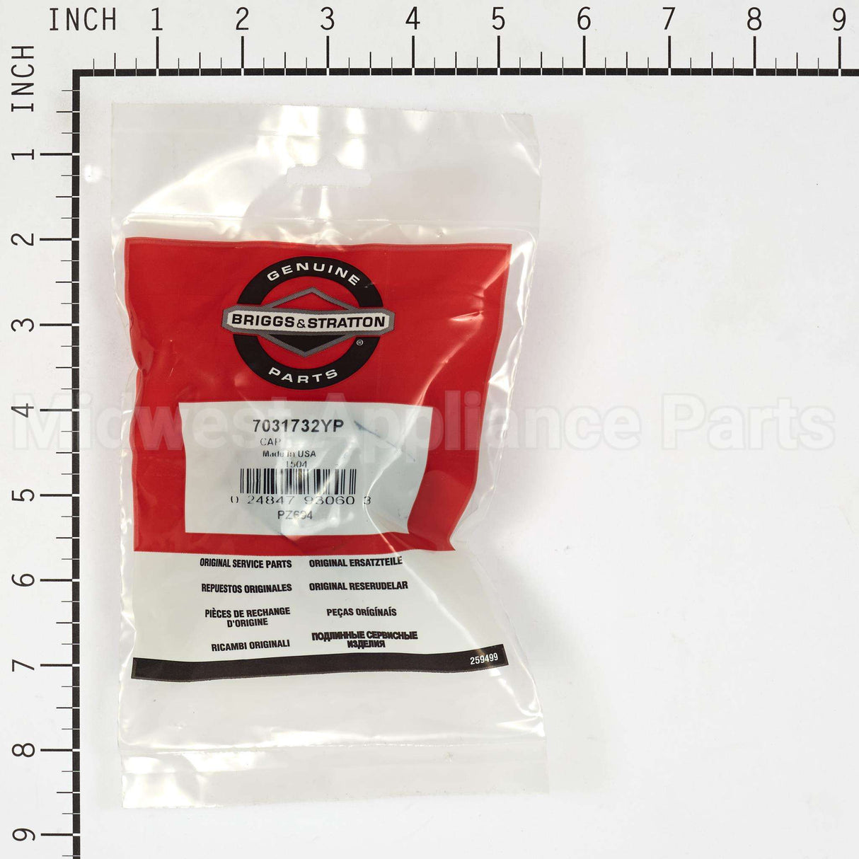 7031732YP Briggs & Stratton Cap