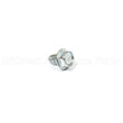 703583 Briggs & Stratton Screw 1/4-20X.375
