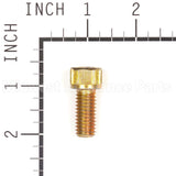 703845 Briggs & Stratton Screw 7/16-14X1