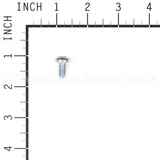 703961 Briggs & Stratton Screw 1/4-20 X .550