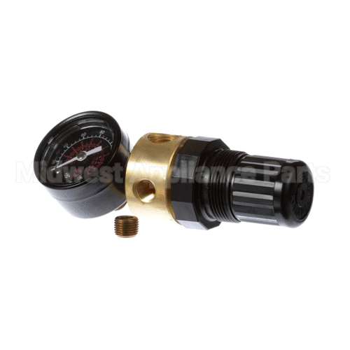 70610 Saniserv Regulator