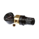 70610 Saniserv Regulator